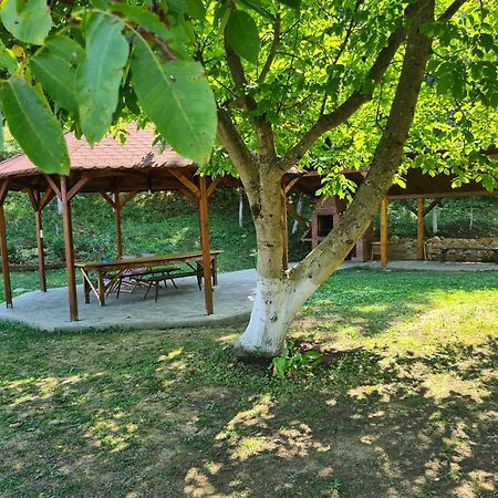 Salas U Bregu In Cheile Carasului Crasova Εξωτερικό φωτογραφία
