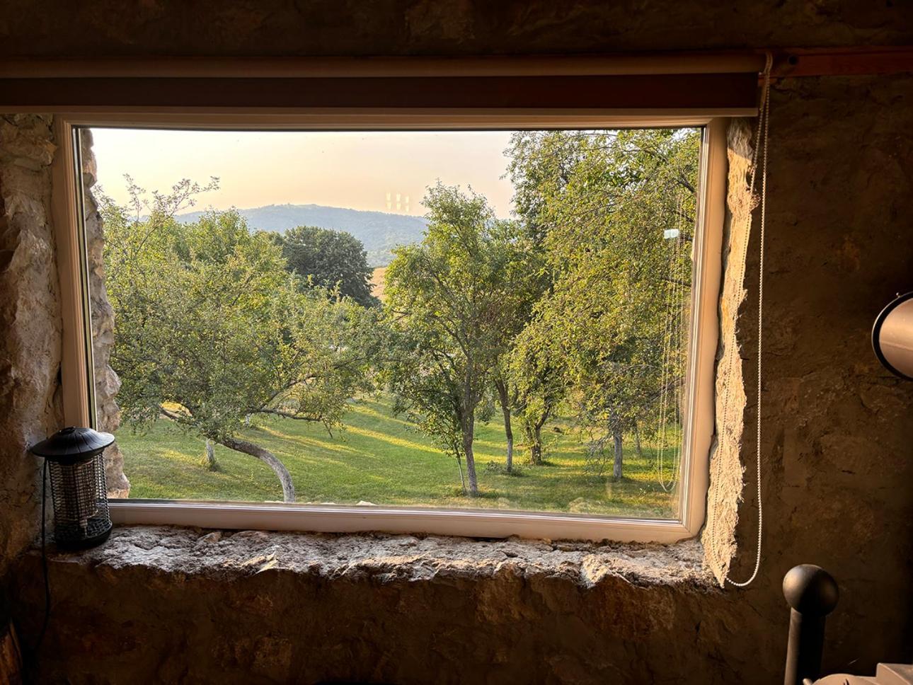 Salas U Bregu In Cheile Carasului Crasova Εξωτερικό φωτογραφία