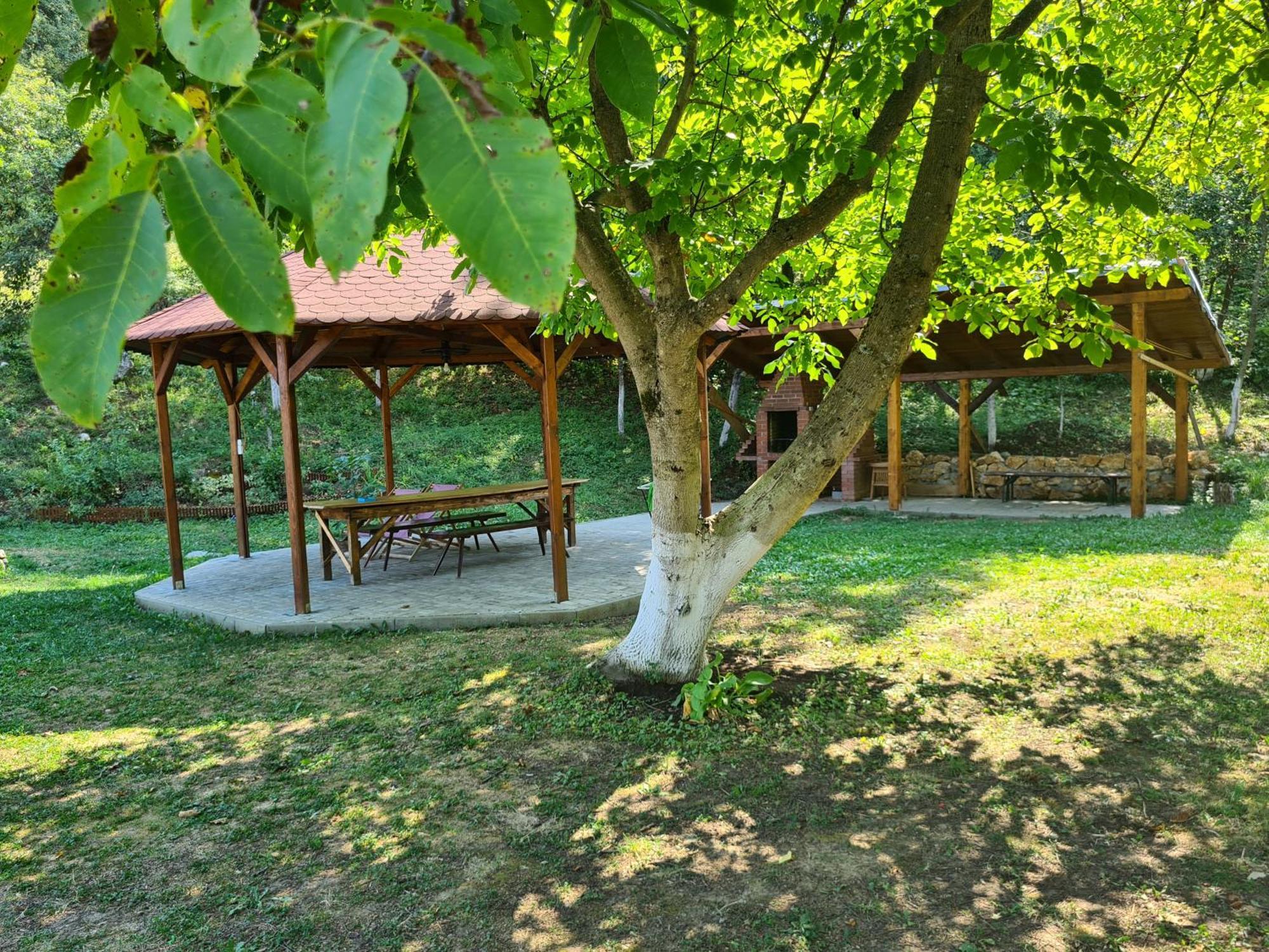 Salas U Bregu In Cheile Carasului Crasova Εξωτερικό φωτογραφία